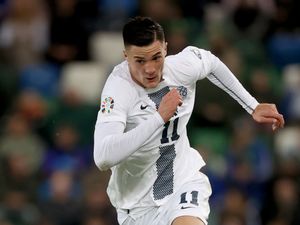 Supporting image for story: Matjaz Kek to check on Benjamin Sesko’s fitness before Slovenia face England