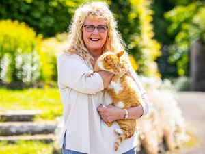 Supporting image for story: A cat who gatecrashed a child’s birthday party, shared a stage with a tv star and was sitting at Tesco’s customer services desk when his owner went in – is up for an award!
