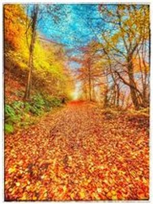 Nigel Davies - Ironbridge Gorge