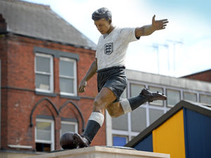 Supporting image for story: Tribute flowers to mark Duncan Edwards birthday stolen