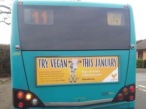 Supporting image for story: Arriva Veganuary row: 80 per cent say adverts should stay on Shropshire buses