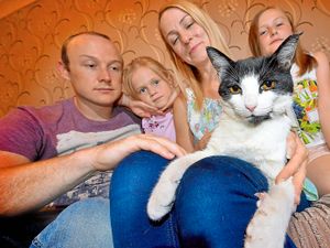 Supporting image for story: From Walsall to Yorkshire: Reggie the cat found 160 miles from home