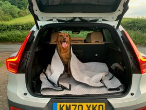 Supporting image for story: Long-term report: Everything but a dog’s life with our Volvo XC40 Recharge T5