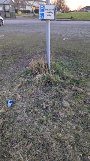 Pictures taken by campaigners of the state of Ludlow's park and ride site. Picture: Ludlow 21