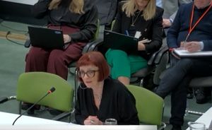 Birmingham councillor Lisa Trickett at the cabinet meeting on January 20. Taken from council webcast.