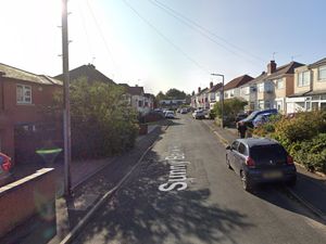 Supporting image for story: 'Distressed' cat rescued by firefighters after becoming trapped between houses in Black Country
