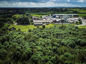 Supporting image for story: Shropshire's Belton Farm forges partnership to power sustainable cheese production