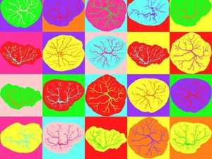 Supporting image for story: 15 breathtaking images you need to see from the EPSRC annual science photography competition