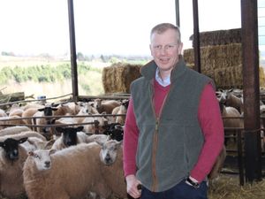 Supporting image for story: New NFU livestock chairman vows to tackle key sector issues