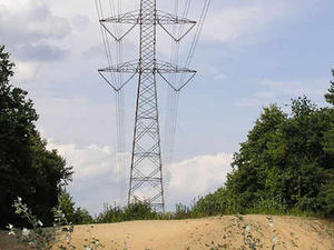 Supporting image for story: MP Glyn Davies to highlight pylons plan concerns