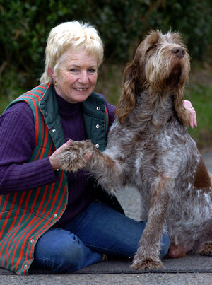 Goli the Italian Spinone with owner Val Woodward