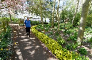 Gardening is a popular activity