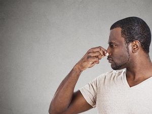 Supporting image for story: A new computer can identify smells, its creator claims