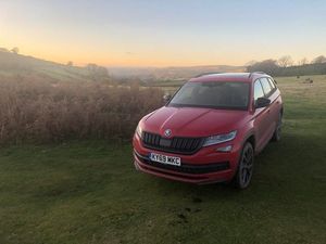 Supporting image for story: Long-term report: The Skoda Kodiaq shows how clever it really is