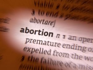 Supporting image for story: Woman who illegally procured her own abortion during lockdown is jailed