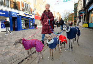 Annette Knight and her dogs Luna, Zanna, Figgy and Raisin