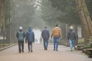 The cold conditions didn't stop walkers taking advantage of the beauty of Walsall Arboretum.