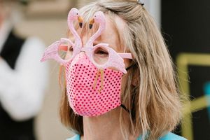 Ludlow Green Festival 