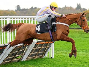 Supporting image for story: Bridgnorth's Paul Sandy dreaming of Cheltenham Festival success with Luccia
