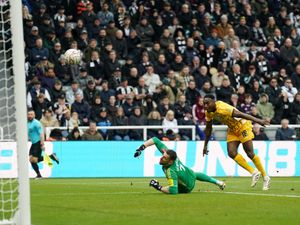 Danny Welbeck fires Brighton's winner into the roof of Newcastle's net