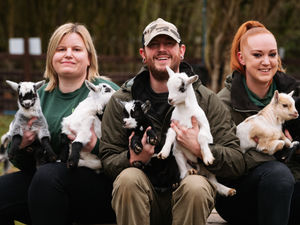 Supporting image for story: New arrivals at Telford's Exotic Zoo get in on Easter holiday eggs-citement