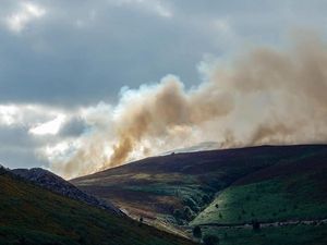 Supporting image for story: Part of Horseshoe Pass still closed by Llantysilio mountain blaze  