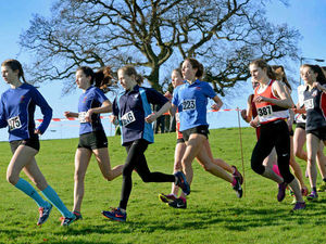 Supporting image for story: Shropshire Schools Cross Country Championship runners hit the mark