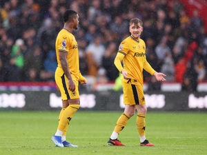 Supporting image for story: Sheffield United 2 Wolves 1 - Report