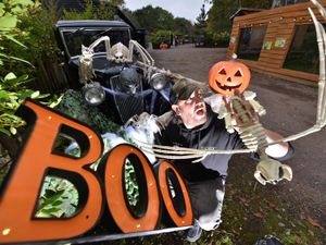 Supporting image for story: Creepy-crawlies, pumpkin picking and after-dark frights with Telford Exotic Zoo’s half-term spooktacular