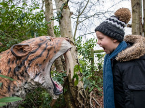 Supporting image for story: West Midlands Safari announces new season of activities and events