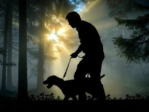 Supporting image for story: Suspected poacher seen in fields and woodlands near Bridgnorth