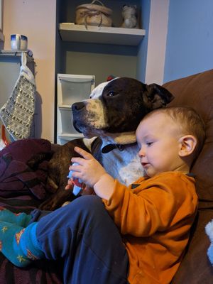 Romy and Blizzard, who has since been put down