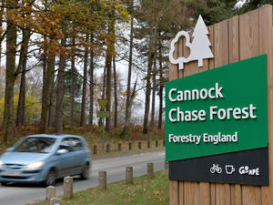 Supporting image for story: Controversial Cannock Chase proposals backed by Staffordshire County Council