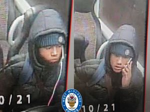 Supporting image for story: Schoolboy threatened with machete in Dudley phone robbery