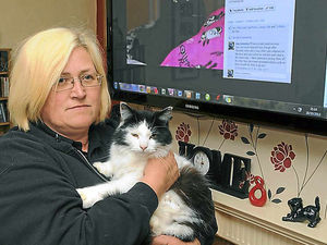 Supporting image for story: Owners warned after three cats poisoned