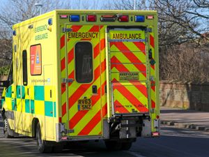 Supporting image for story: Child dies after being struck by falling tree branch in Surrey
