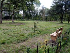 Supporting image for story: Increase in natural burials planned at Walsall