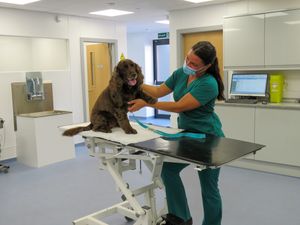 Supporting image for story: Bank funding enables vets to move to its new surgery