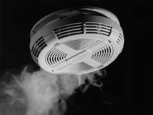 Supporting image for story: Firebugs: Insects set off fire alarm at Market Drayton care home