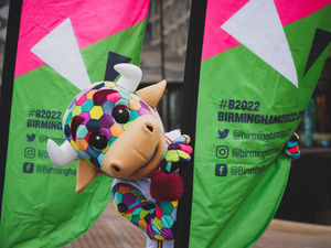 Supporting image for story: New sponsors set to provide expert services at games