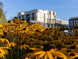 Supporting image for story: Telford Town Park is best in England for cleanliness - study