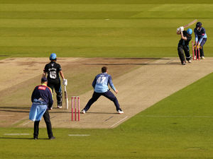 Supporting image for story: Worcestershire Rapids suffer another night to forget in Blast