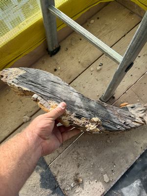 Some of the rotting timber