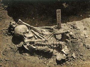 Supporting image for story: Remains of 3,000-year-old shark attack victim found by scientists