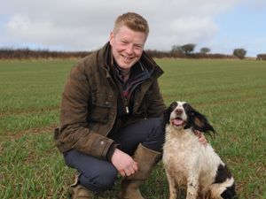 Supporting image for story: Crops Board voices concerns over Sustainable Farming Scheme