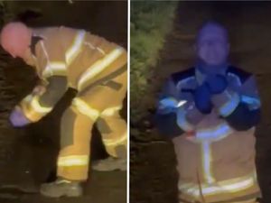 Supporting image for story: Firefighters leap into action to save frogs from 'hop'-less situation during call out