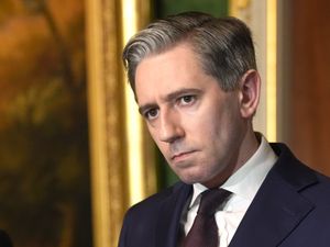 Supporting image for story: Harris urges US against tariff hikes on pharma and microchip sectors