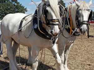 Supporting image for story: Shrewsbury’s iconic Steam Rally returns with a superb and spectacular celebration of heritage - the ultimate family-friendly event!