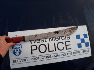 Supporting image for story: Children help police find machete in Telford woods