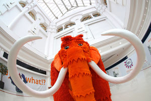 Supporting image for story